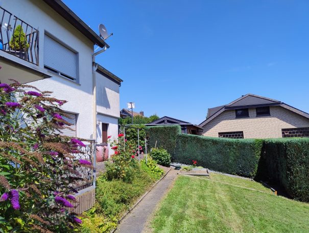 Thuja Hecke in formgeschnitten